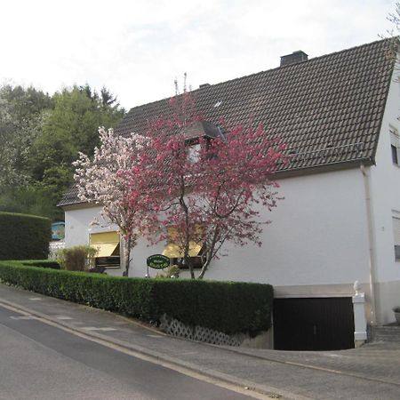 Ferienwohnung Weber Schleiden Exterior foto